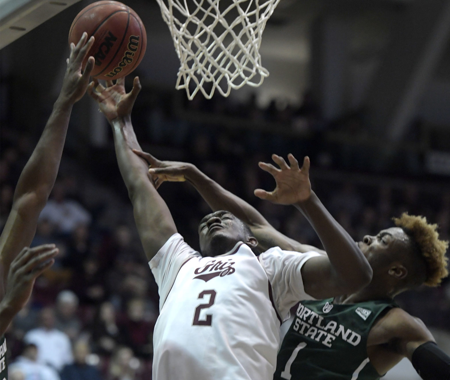 Montana v PSU 06.JPG